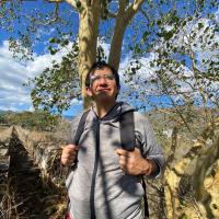 Juan Alejandro Gutiérrez Carmona's avatar