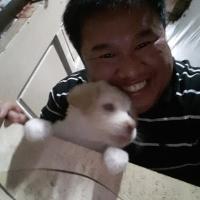 Christopher Castellano's avatar