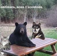 Avatar of Followyourdreams123