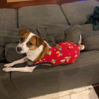 Avatar of Armand Rosario