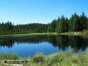 Avatar of Blaz Bratovic