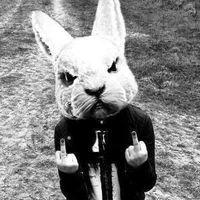 Avatar of Franz Sulca Asparrin