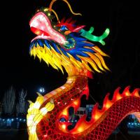 Avatar of Krish Bhandari