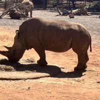 Avatar of FriedLiverSorry