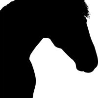 Avatar of Friend_of_Horse