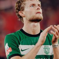 Pedro Filipe Rego's avatar