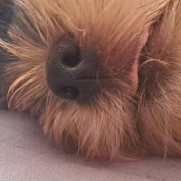 Avatar of futterwaker