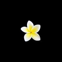 fxntxsticfrog's avatar