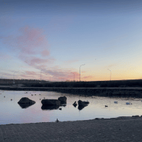 Avatar of Gabrielnoob22