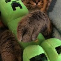 Avatar of Gael Bordolis