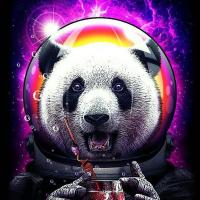 Avatar of GalaxyPandah