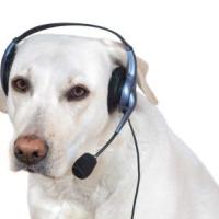 Avatar of GamerDoge22