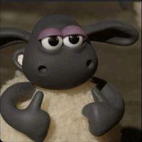 Avatar of Тамир Ганшид