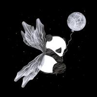 Avatar of NOUR HUSSIEN