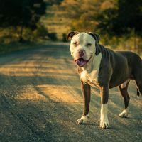 Avatar of gbwilliams09