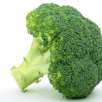 Avatar of GeneralBrokkoli