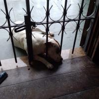 Avatar of Genilson Aparecido Trajano