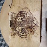 Avatar of Jean-François Georgy