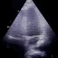 Avatar of Gerarld Kairupan