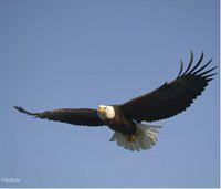 Francesco Rinaldi's avatar