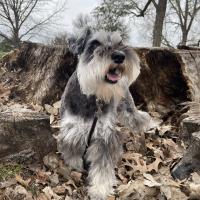 Avatar of Graciela Acosta