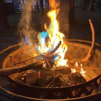 Avatar of Prof Simmons