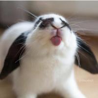 Gabriela Króliczek's avatar