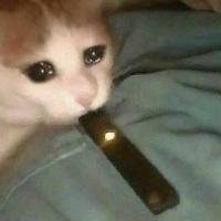 Avatar of Givani Juo Suez