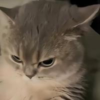 Avatar of Gilbert Elroy Tarigan