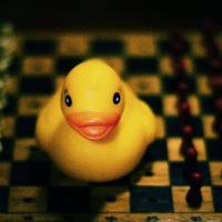 Simon Williams's avatar