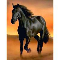 Avatar of Gino Gilson