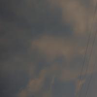 Avatar of chess noob