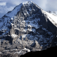 Avatar of Gletschermaus