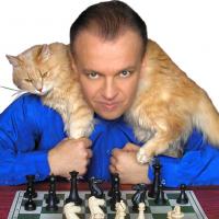 Sergey Shipov's avatar
