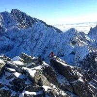 Rafał Antoniewski's avatar