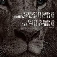 Avatar of Goldenlion77