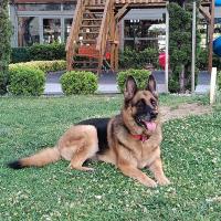 Avatar of Greatfingers