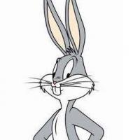 Avatar of Nico Grobler