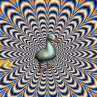 Avatar of David Rutkovsky