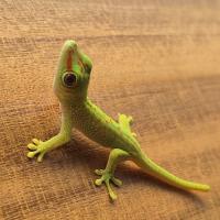 Avatar of Guillaume-reunion