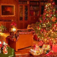 Sofio Gvetadze's avatar