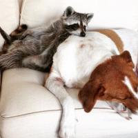 Grant Spraggett's avatar