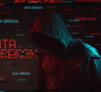 Avatar of Hafisthewiffle