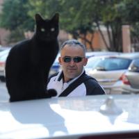 Avatar of Halic Maden Arama