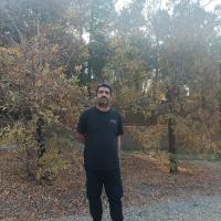 Avatar of hamedreza-razaee52