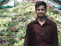 Avatar of Harish Kumar