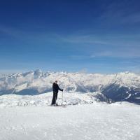 Avatar of steve harrington