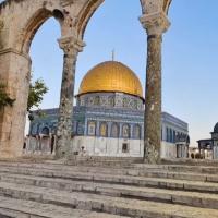 Avatar of Hasmohamed