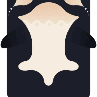 Avatar of Aleyna Başbuğ