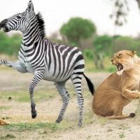 Avatar of John Paul Wallace